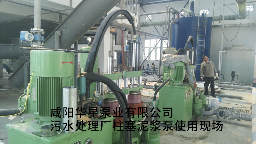 咸陽華星泵業(yè)生產(chǎn)的污泥柱塞泵在污水處理廠使用現(xiàn)場(chǎng) 安徽池州清溪污水處理廠-水印
